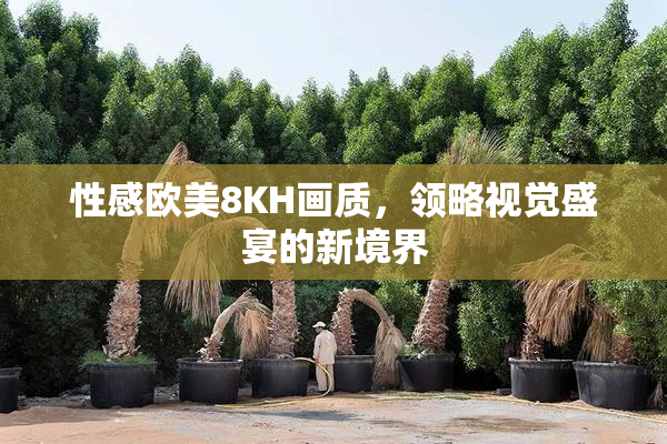性感欧美8KH画质，领略视觉盛宴的新境界