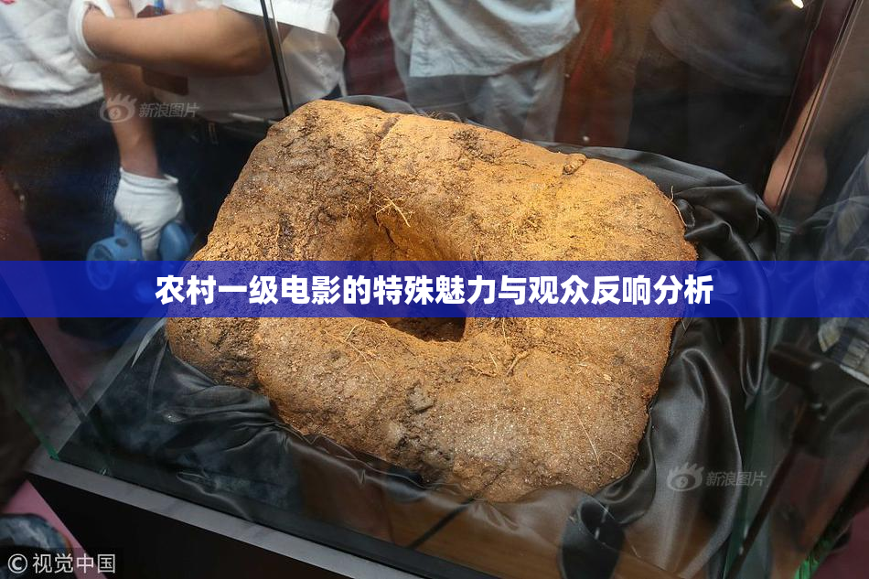 农村一级电影的特殊魅力与观众反响分析