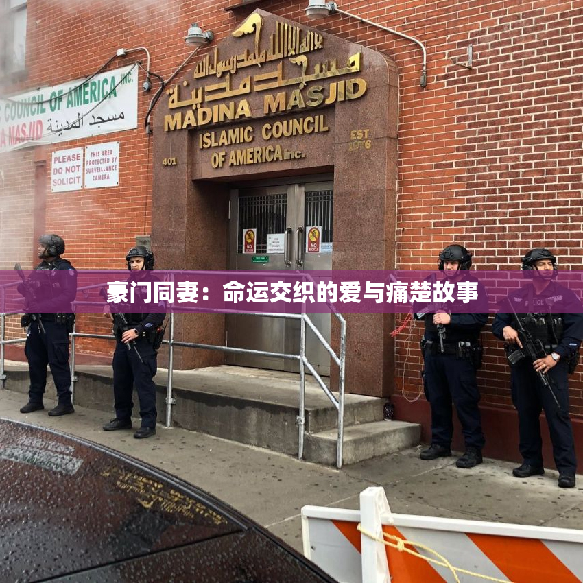 豪门同妻：命运交织的爱与痛楚故事