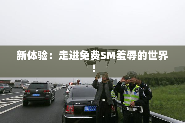 新体验：走进免费SM羞辱的世界！