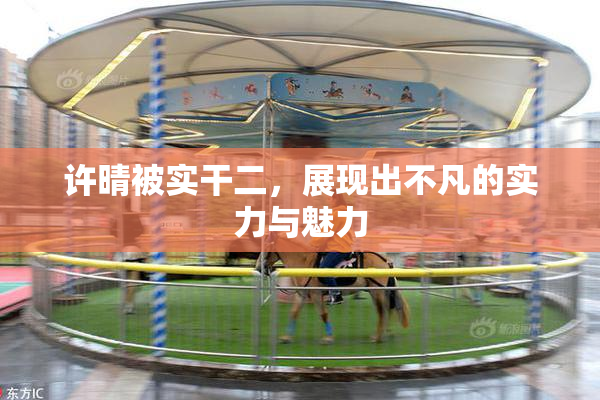 许晴被实干二，展现出不凡的实力与魅力