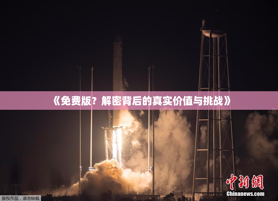 《免费版？解密背后的真实价值与挑战》
