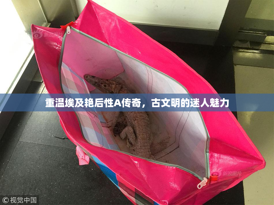 重温埃及艳后性A传奇，古文明的迷人魅力