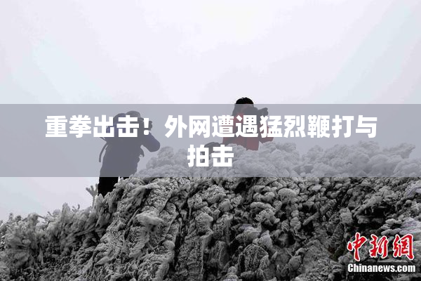 重拳出击！外网遭遇猛烈鞭打与拍击