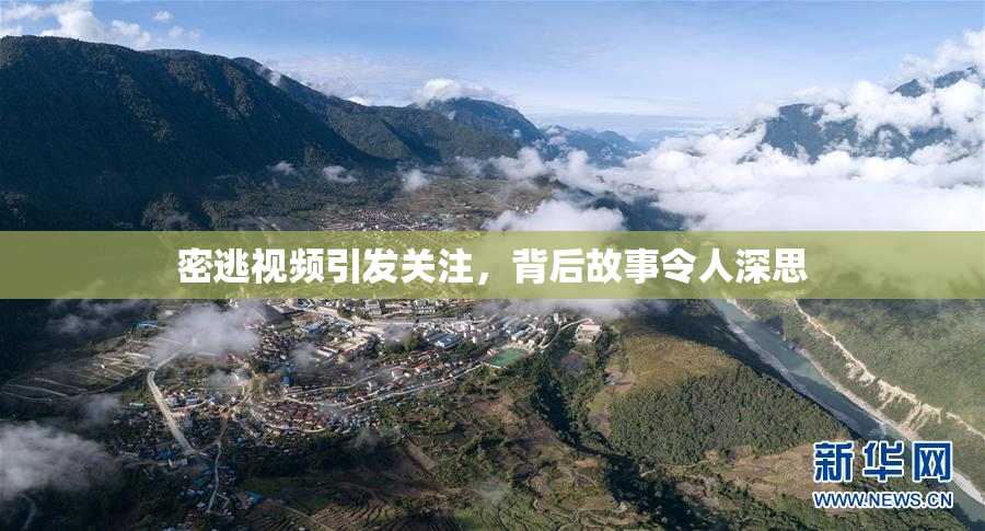 密逃视频引发关注，背后故事令人深思
