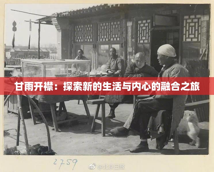 甘雨开襟：探索新的生活与内心的融合之旅