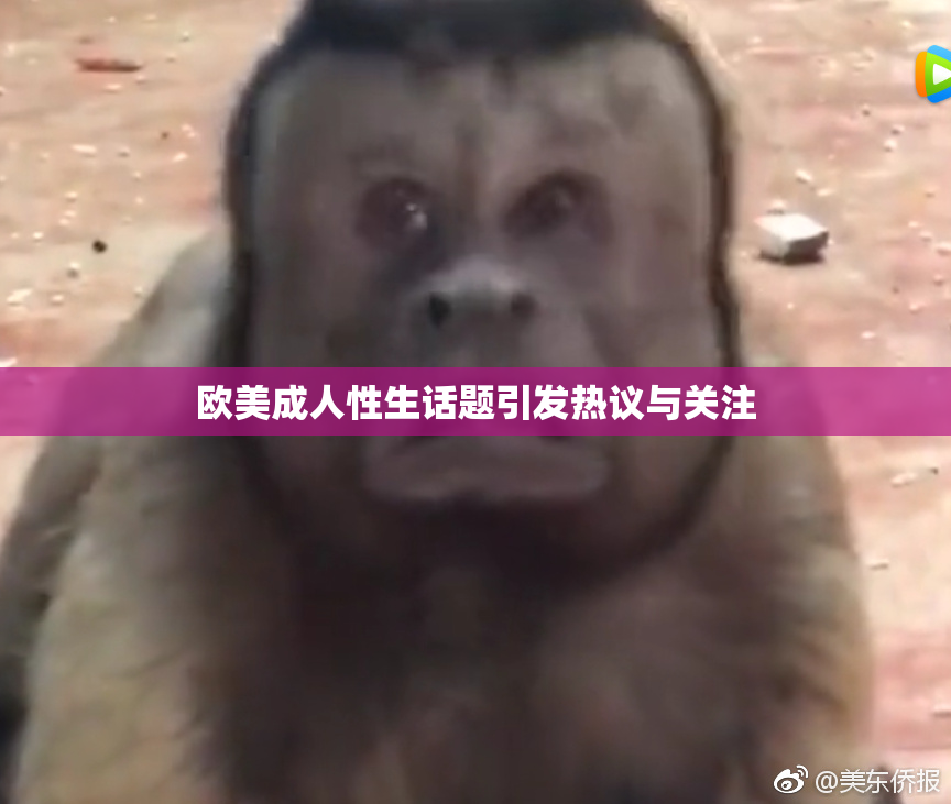 欧美成人性生话题引发热议与关注