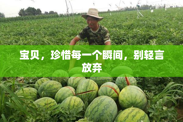 宝贝，珍惜每一个瞬间，别轻言放弃