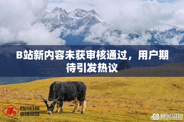 B站新内容未获审核通过，用户期待引发热议