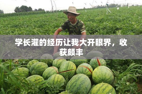 学长灌的经历让我大开眼界，收获颇丰