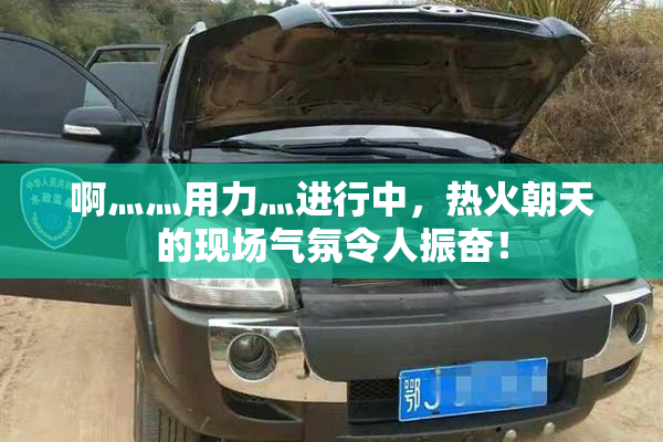 啊灬灬用力灬进行中，热火朝天的现场气氛令人振奋！