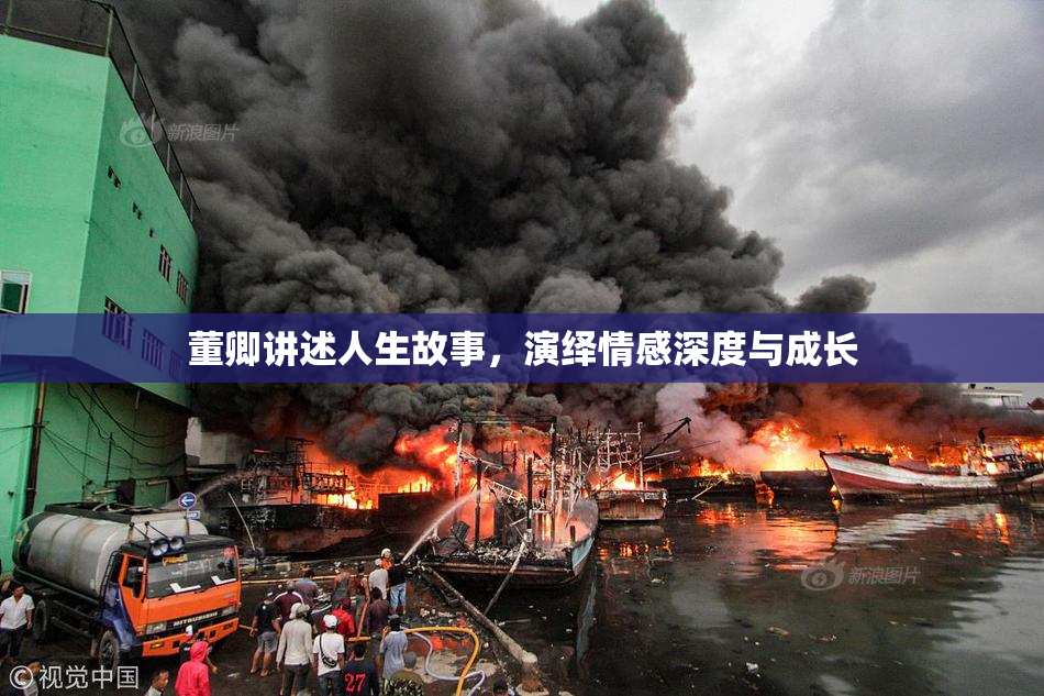 董卿讲述人生故事，演绎情感深度与成长