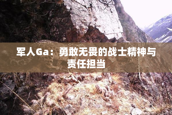 军人Ga：勇敢无畏的战士精神与责任担当