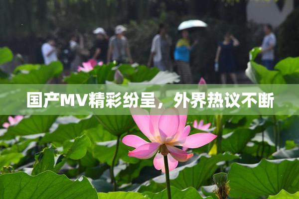 国产MV精彩纷呈，外界热议不断