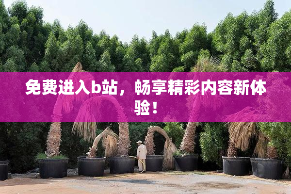 免费进入b站，畅享精彩内容新体验！