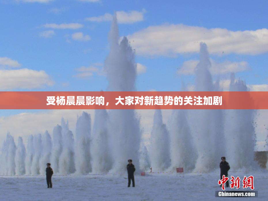受杨晨晨影响，大家对新趋势的关注加剧