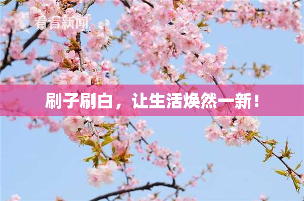 刷子刷白，让生活焕然一新！