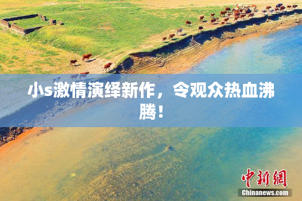 小s激情演绎新作，令观众热血沸腾！