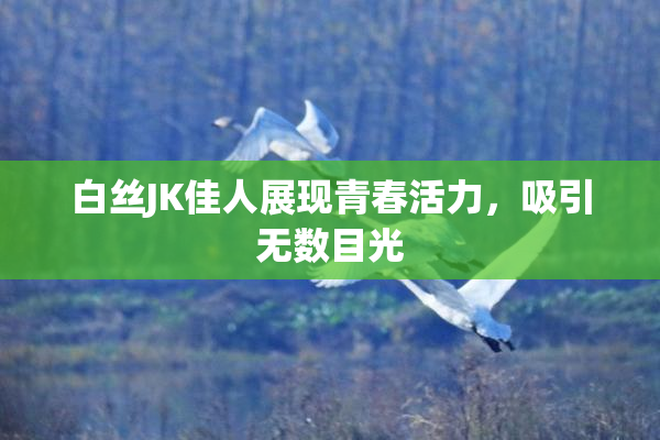 白丝JK佳人展现青春活力，吸引无数目光