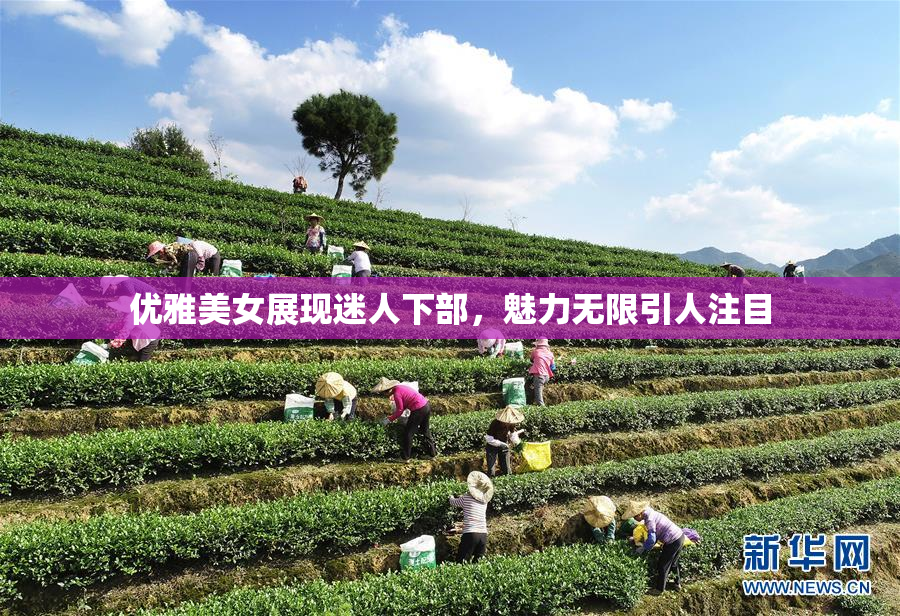 优雅美女展现迷人下部，魅力无限引人注目