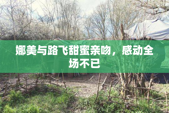 娜美与路飞甜蜜亲吻，感动全场不已