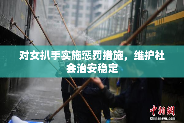 对女扒手实施惩罚措施，维护社会治安稳定