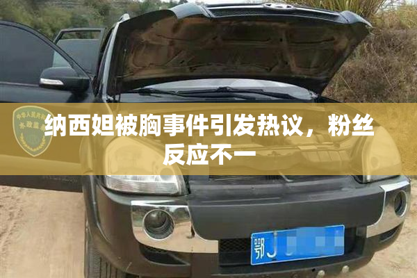 纳西妲被胸事件引发热议，粉丝反应不一