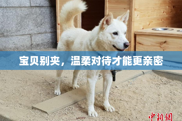 宝贝别夹，温柔对待才能更亲密
