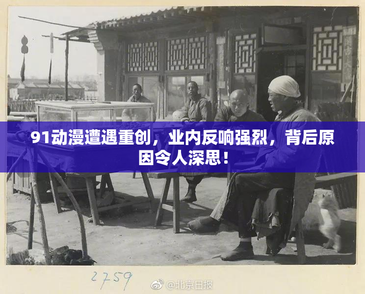 91动漫遭遇重创，业内反响强烈，背后原因令人深思！