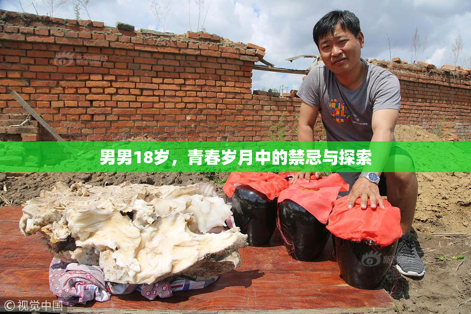 男男18岁，青春岁月中的禁忌与探索