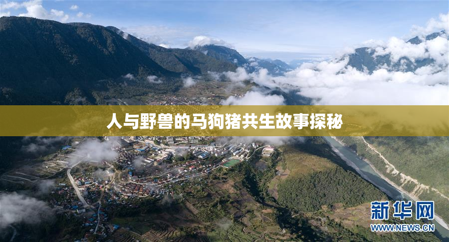 人与野兽的马狗猪共生故事探秘