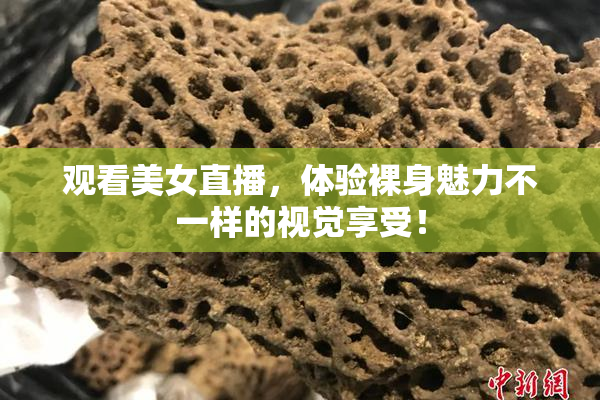 观看美女直播，体验裸身魅力不一样的视觉享受！
