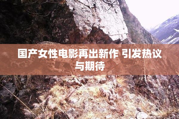 国产女性电影再出新作 引发热议与期待