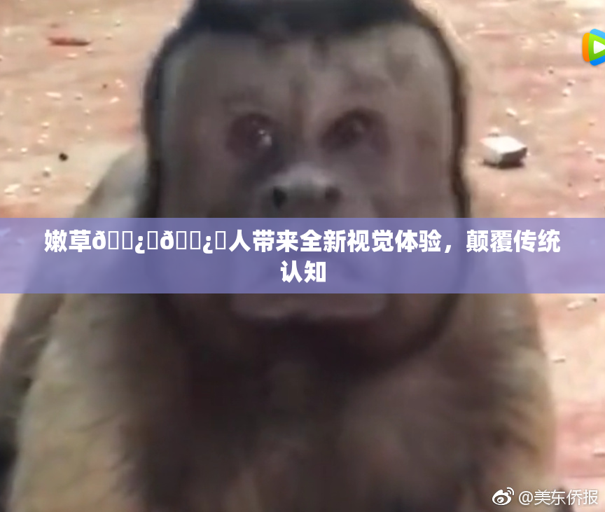 嫩草🌿‌🌿‌人带来全新视觉体验，颠覆传统认知