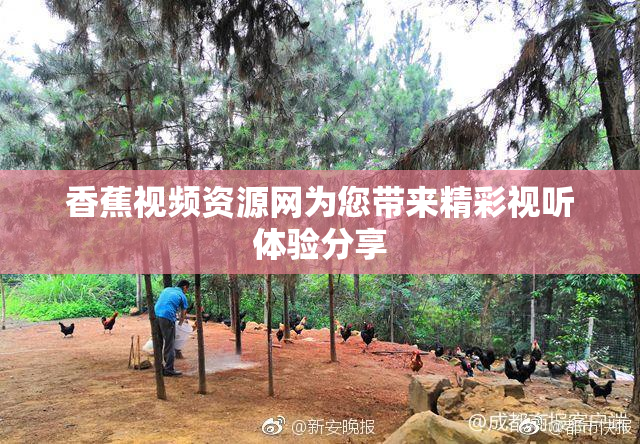 香蕉视频资源网为您带来精彩视听体验分享