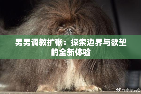 男男调教扩张：探索边界与欲望的全新体验