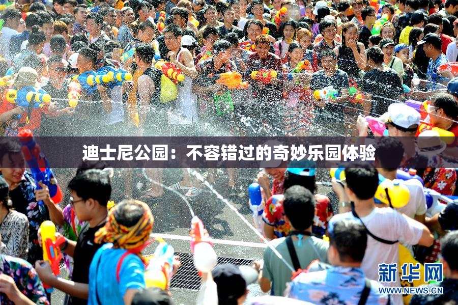 迪士尼公园：不容错过的奇妙乐园体验