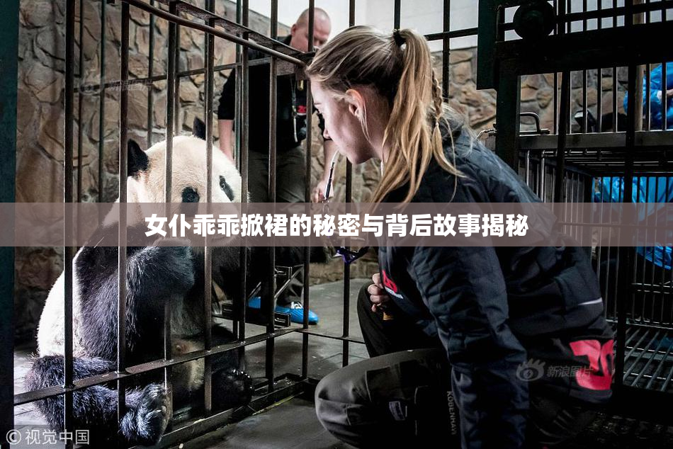 女仆乖乖掀裙的秘密与背后故事揭秘