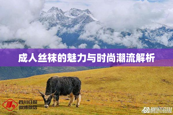 成人丝袜的魅力与时尚潮流解析