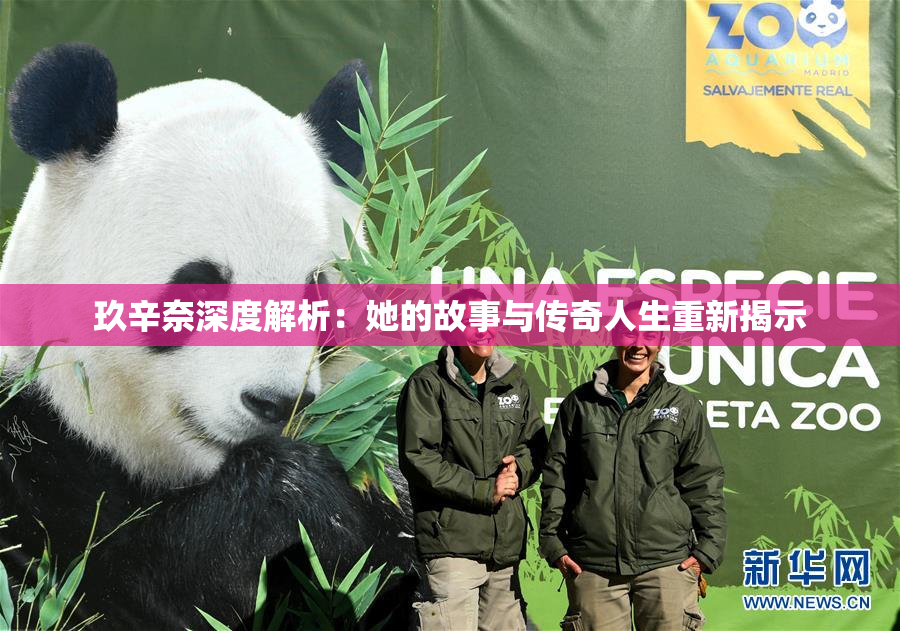 玖辛奈深度解析：她的故事与传奇人生重新揭示