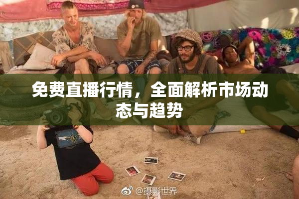 免费直播行情，全面解析市场动态与趋势