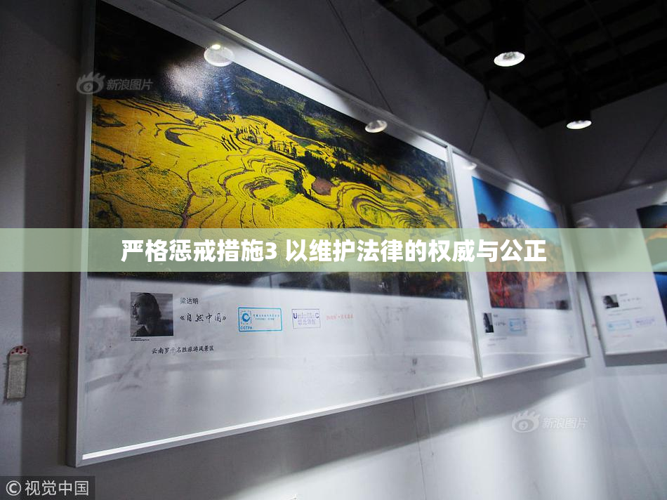 严格惩戒措施3 以维护法律的权威与公正