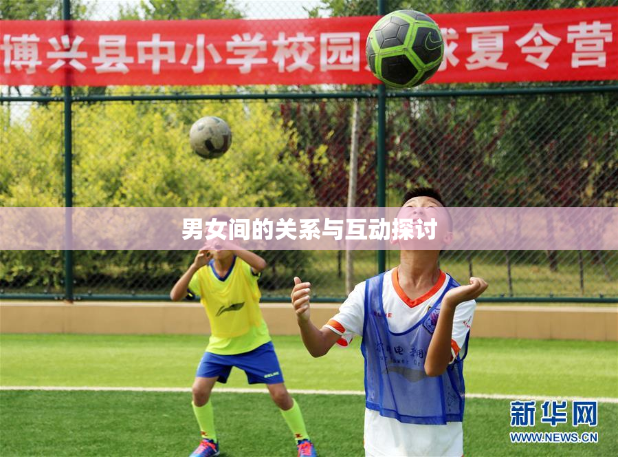 男女间的关系与互动探讨