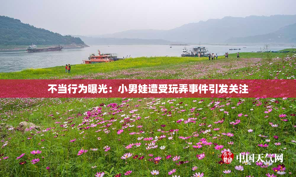 不当行为曝光：小男娃遭受玩弄事件引发关注