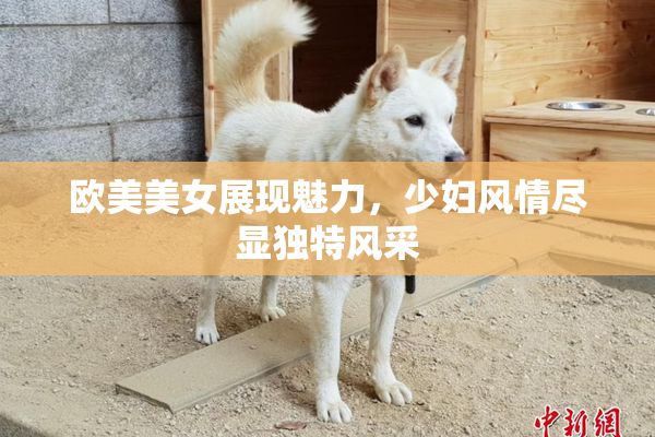 欧美美女展现魅力，少妇风情尽显独特风采