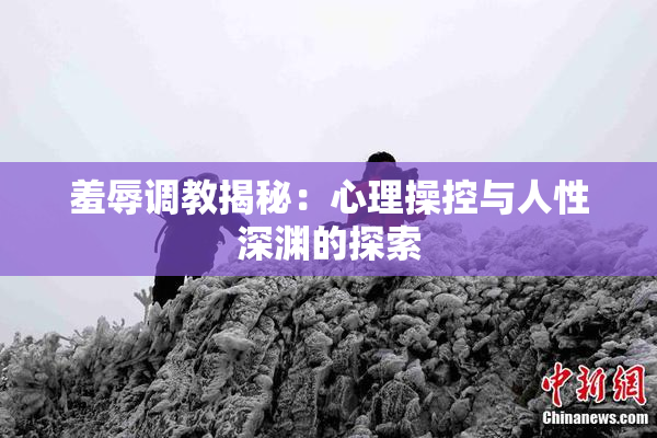 羞辱调教揭秘：心理操控与人性深渊的探索