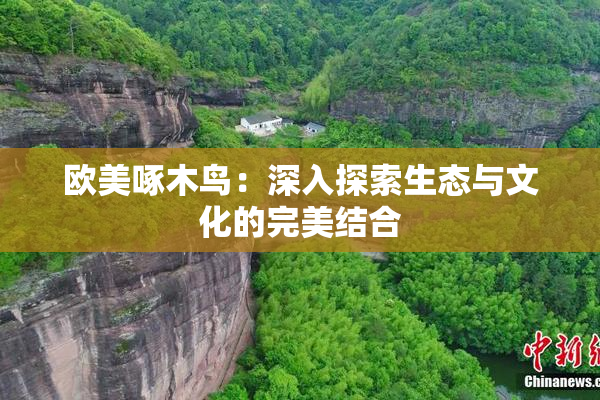 欧美啄木鸟：深入探索生态与文化的完美结合