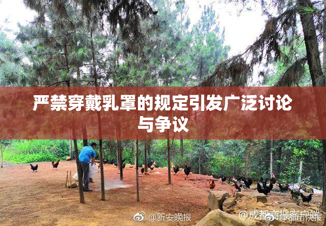 严禁穿戴乳罩的规定引发广泛讨论与争议