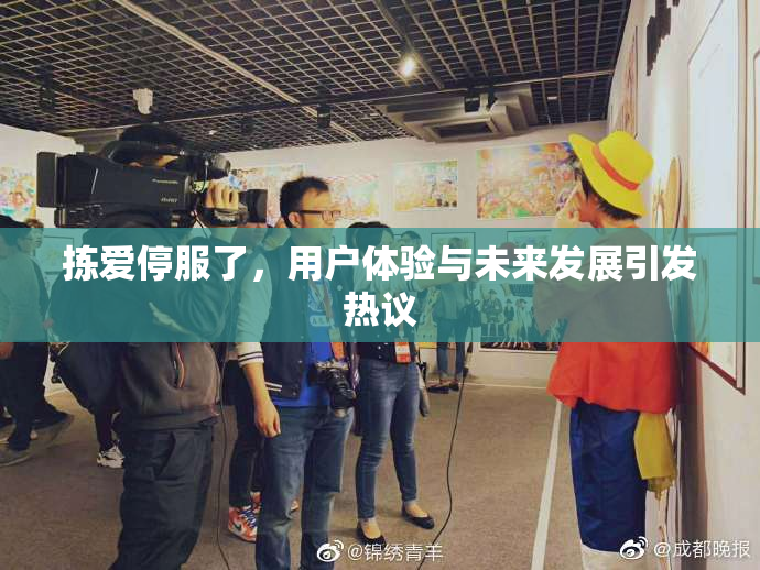 拣爱停服了，用户体验与未来发展引发热议