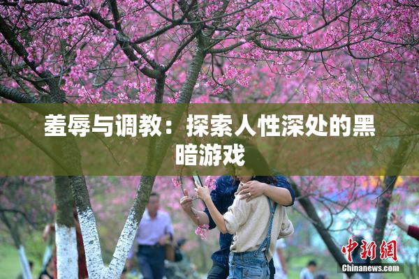 羞辱与调教：探索人性深处的黑暗游戏